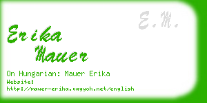 erika mauer business card